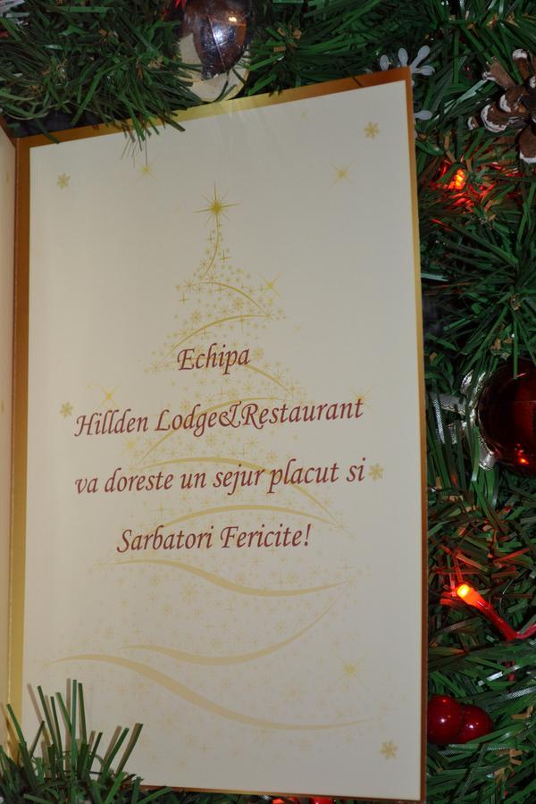 Hotel Hillden Lodge&Restaurant Drumu Carului Экстерьер фото