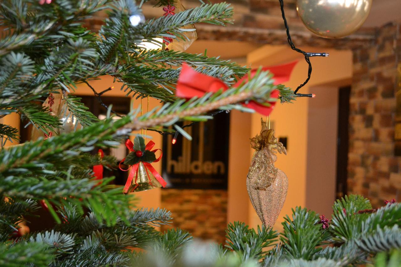 Hotel Hillden Lodge&Restaurant Drumu Carului Экстерьер фото